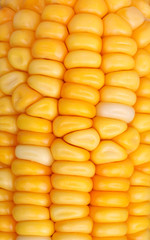 Corn