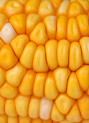 Corn