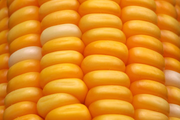 Corn