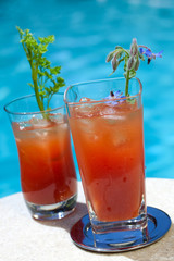 Bloody Mary cocktail