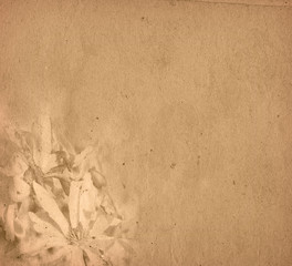 vintage flower paper background
