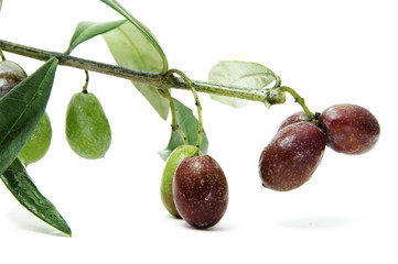 olives
