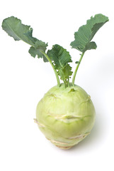 cabbage of kohlrabi