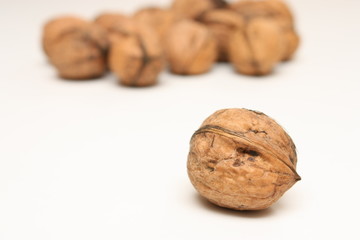 Walnut