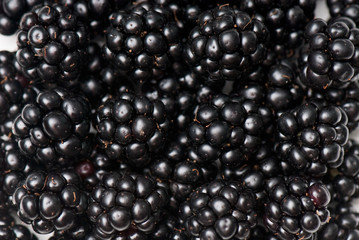 blackberry
