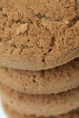 biscuit