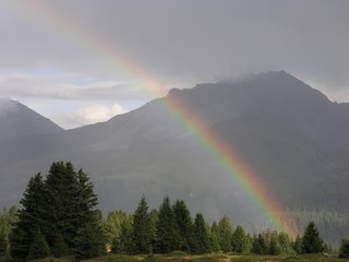 Regenbogen