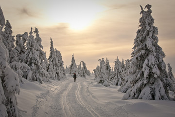 skilanglauf verschneit