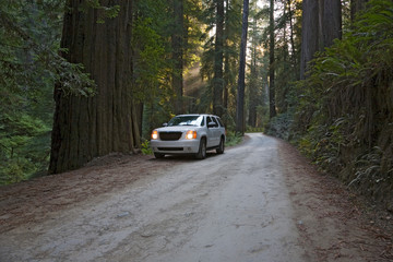 Straße Redwood Nationalpark