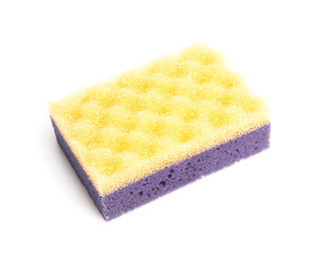 Sponge