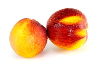 Sweet Nectarine