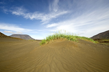Volcanic Sand Dune