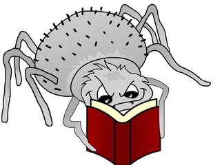 spider book