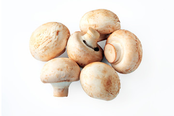 Champignon isolated on white background