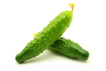 cucumbers
