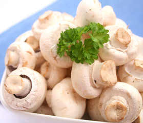 Frische Champignons