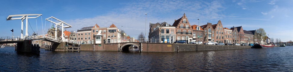 Fototapeta na wymiar Haarlem skyline