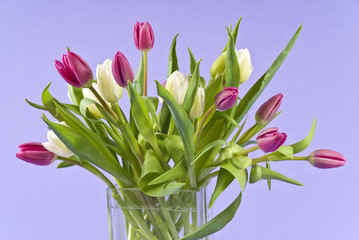 Bunch of Colorful Tulips in a Glass Vase