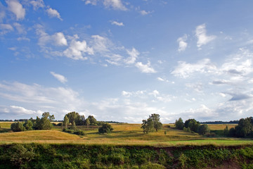 Summer landscape