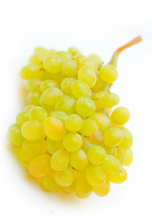 Grape isolated
