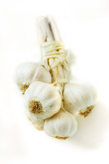 Garlic (isolated)