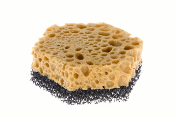 sponge