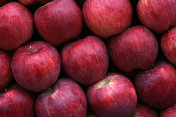 apples