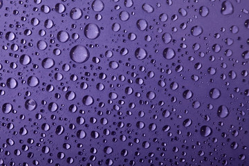 Water drops background, violet