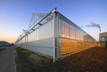 Obraz premium Glasshouse at dusk