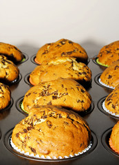 Muffins