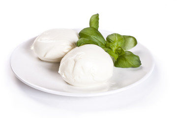 Mozzarella Cheese