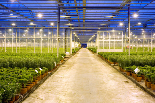 Horticulture transport lane