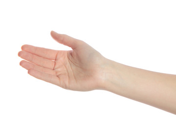 Menschliche Hand
