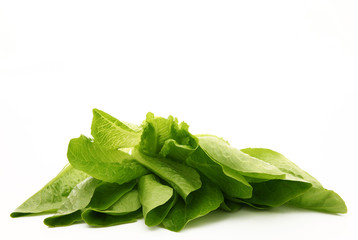 insalata romana
