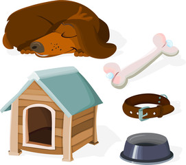 set of dog accessories