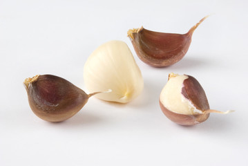 garlics over a white background