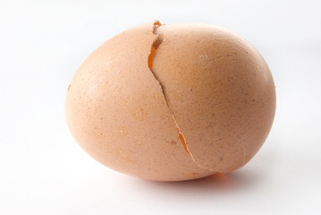 Birth Cracked egg
