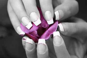 manikürte fingernägel mit tulpe