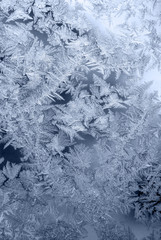 frosty pattern on winter window