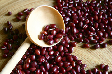 haricot rouge