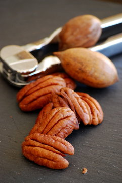 noix de p&eacute;can