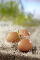 fresh brown eggs
