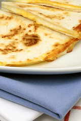 mexican quesadilla