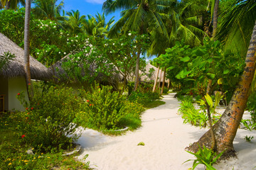 Bungalows on beach and sand pathway