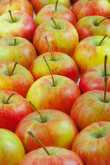 Apples, may be used as background