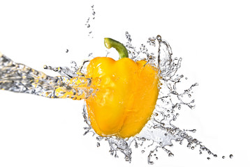 fresh water splash on yellow sweet pepper isolated on white