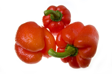 Red pepper on a white background