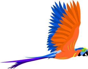 Flying parrot © Vita Vosk