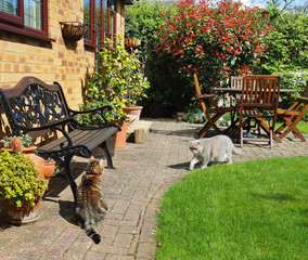 An English Back garden and seating area