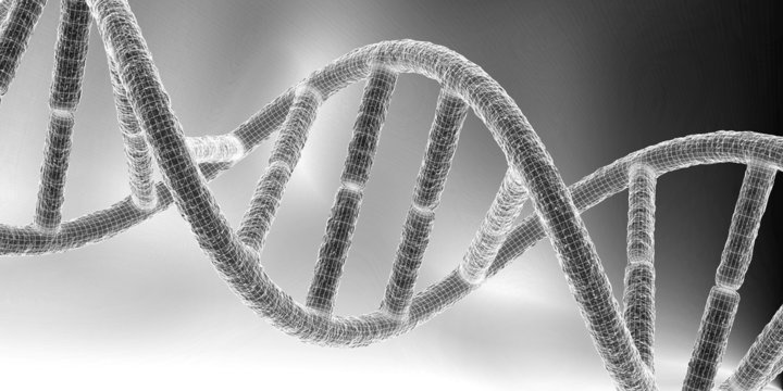 DNA IV